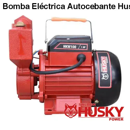 Bomba Eléctrica Autocebante Husky 1X1 1 HP 750W HKW100