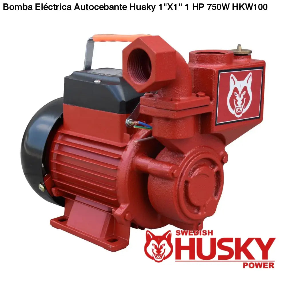 Bomba Eléctrica Autocebante Husky 1X1 1 HP 750W HKW100