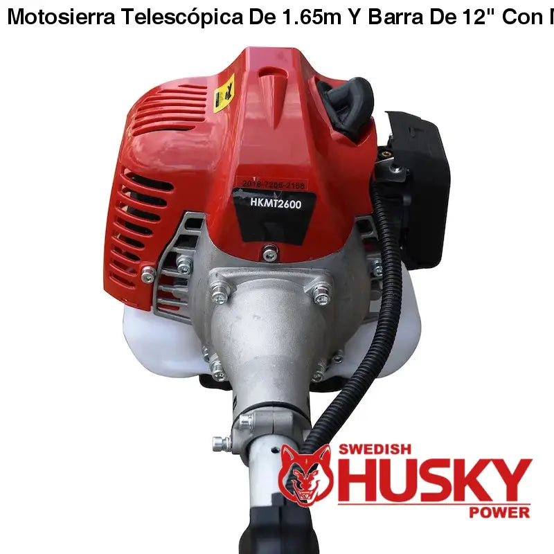 Motosierra Telescópica De 1.65m Y Barra De 12 Con Motor