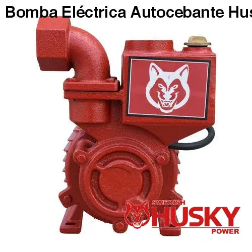 Bomba Eléctrica Autocebante Husky 1X1 1 HP 750W HKW100