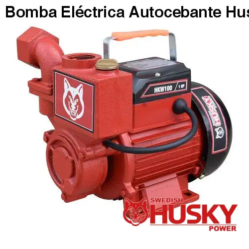 Bomba Eléctrica Autocebante Husky 1X1 1 HP 750W HKW100
